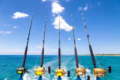 Blue Haven Resort Experiences - The Fishing Charter